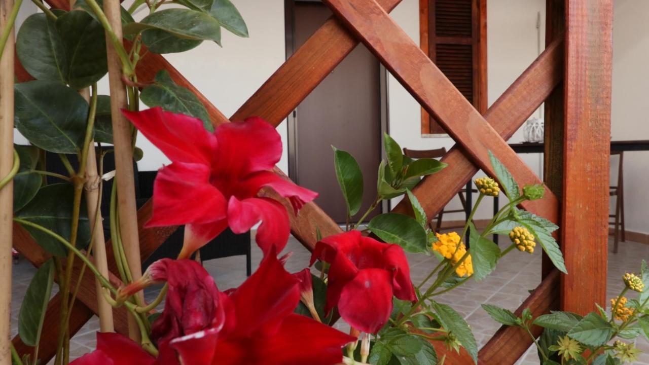 B&B Verzavo Cetraro Eksteriør bilde