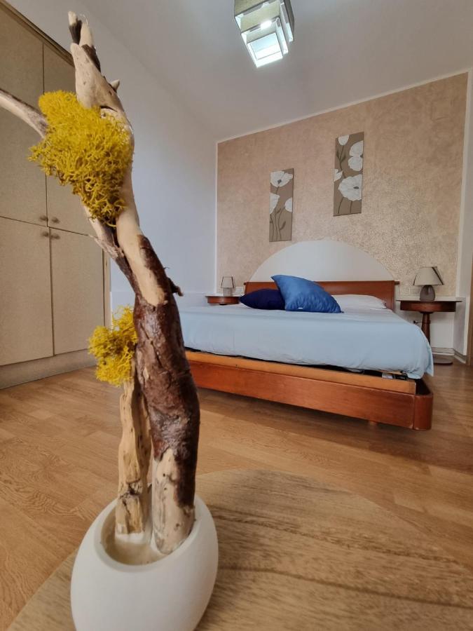 B&B Verzavo Cetraro Eksteriør bilde